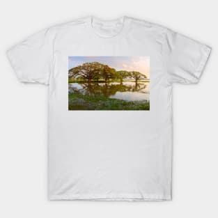 Shady tropical trees by the lake, Sri Lanka T-Shirt